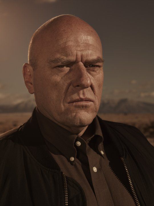 Hank Schrader with a thick mustache and Hawaiian shirt, AI character from Breaking Bad