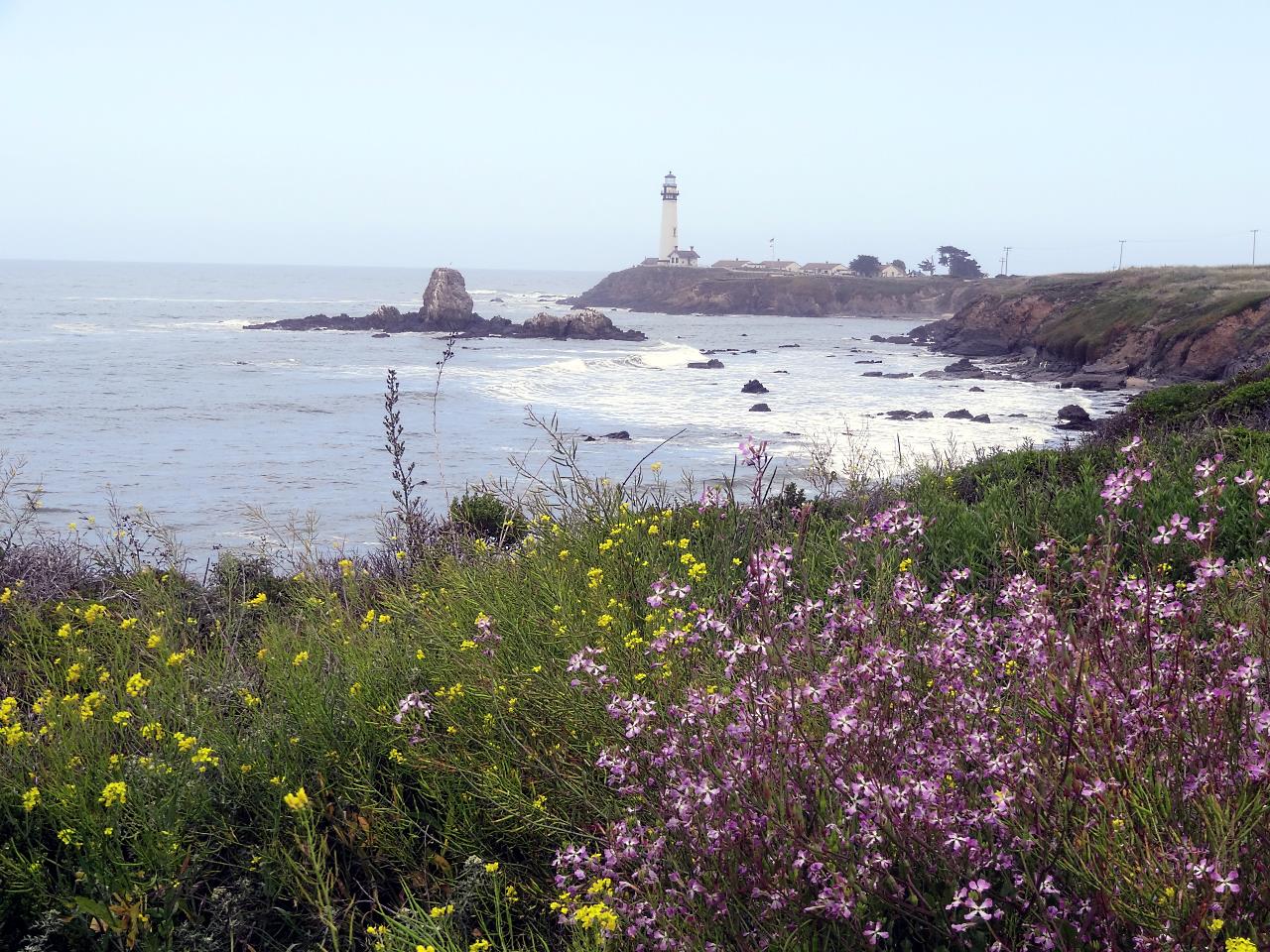 Right about here is where I used to always park my van on Friday nights with a pizza and a book. The cove was largely protected from the north swell. If it was calm in the morning, I would go diving. If it was rough, I would go back to Santa Cruz and go Body Surfing.