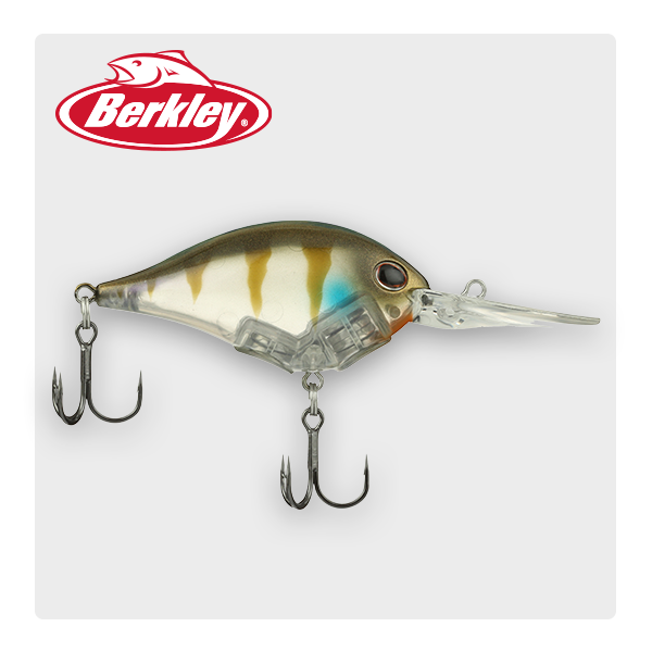 Berkley Dime