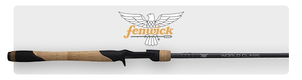 Fenwick World Class Inshore Rod