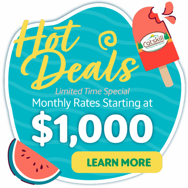Cat Skills Zeman RV Seasonal Rate Web Callouts 1