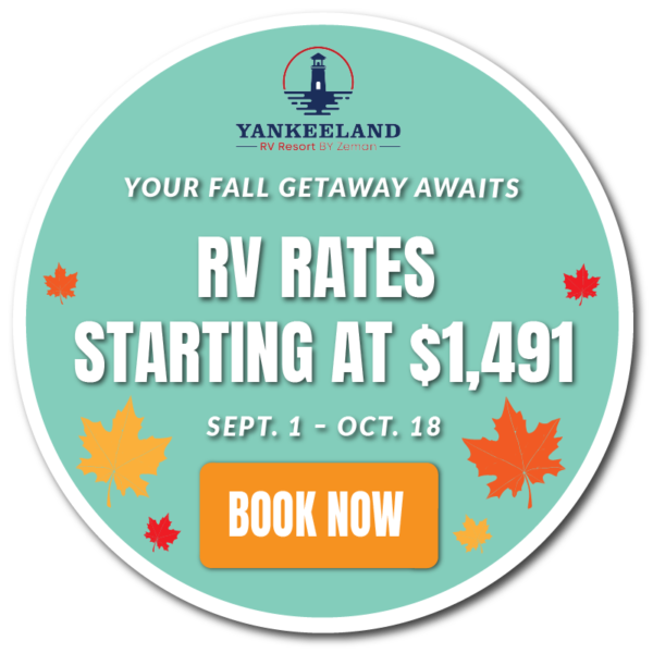 Yankeeland Web Call out